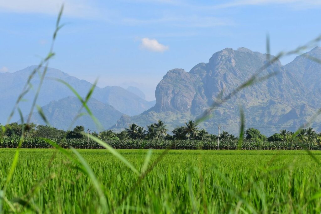 Trivandrum to Nagercoil Car Rental Service